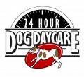 24 Hour Dog Daycare