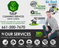 Tulip Cleaning Services