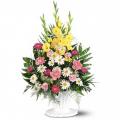 Brampton Florists