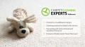 Carpet Cleaning Experts Melbourne