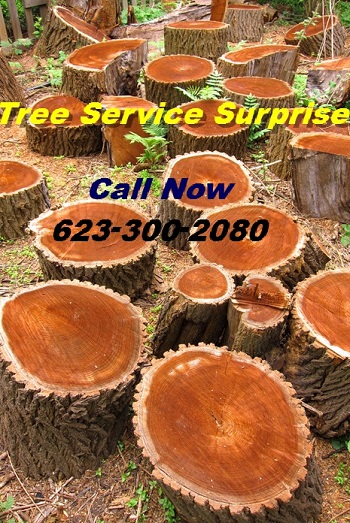 Tree Service Surprise