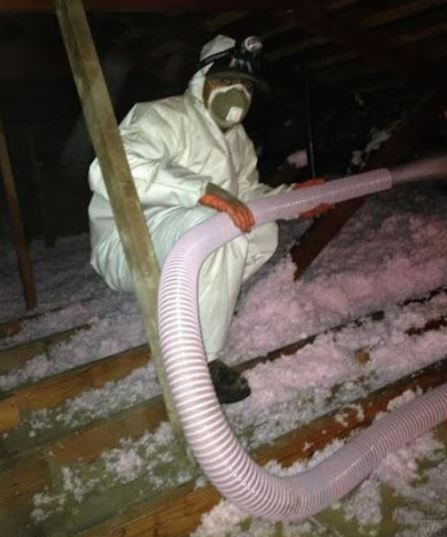 Oakland Pest Control Company