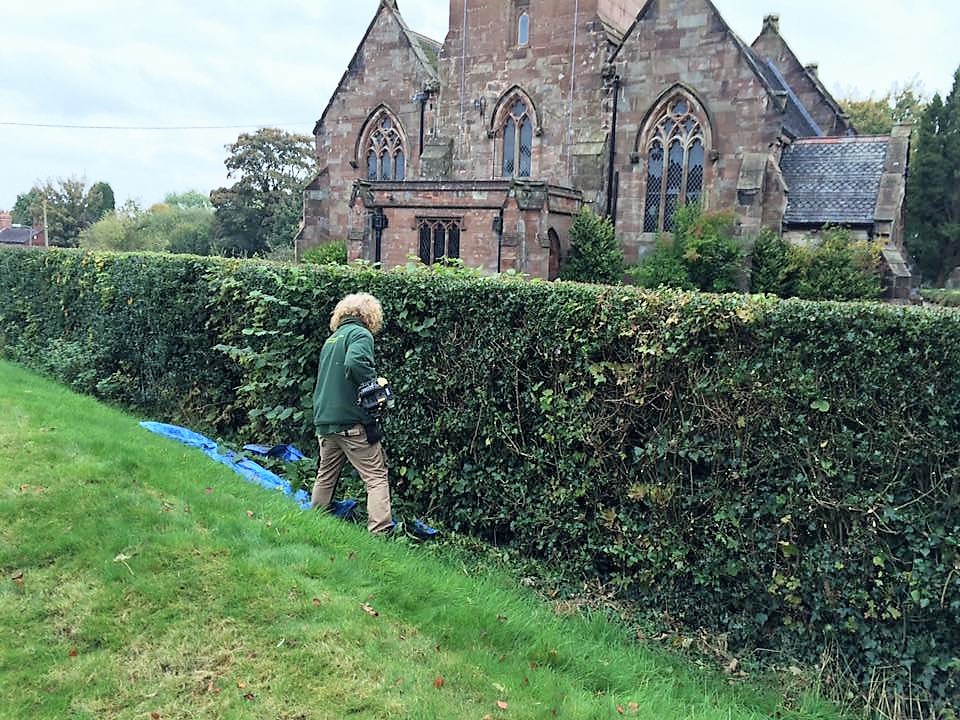 Handyman & Garden Services