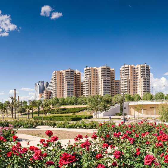 Corner Park Apartments