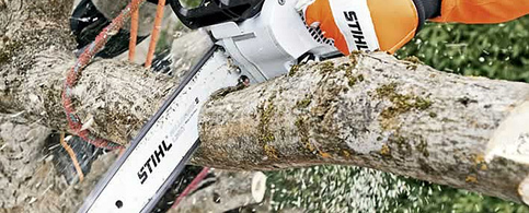 Glasgow Tree Services