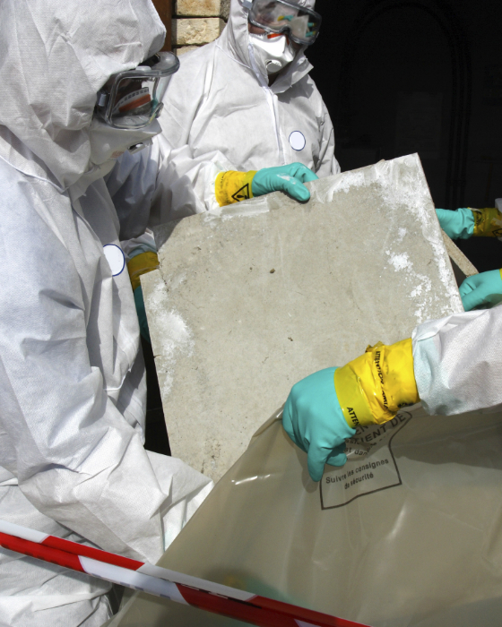 ALM Environmental Consultant