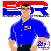 ESR Disaster Hero