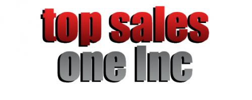 Top Sales One Inc