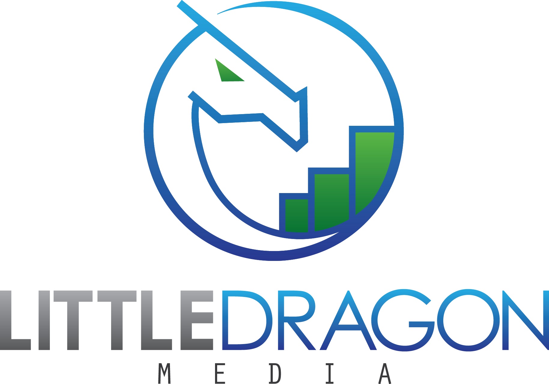 Little Dragon Media