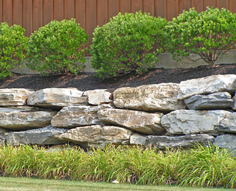 Martinez Lawn Service