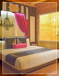   ESTRELA DO MAR BEACH RESORT, GOA