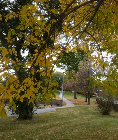 Auschrat Counselling