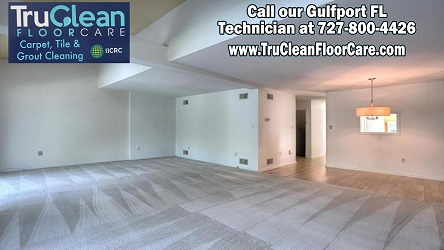 TruClean Carpet, Tile and Grout Cleaning - Gulfport