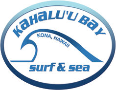 Kahalu’u Bay Surf & Sea