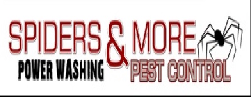 Spiders and More Pest Control