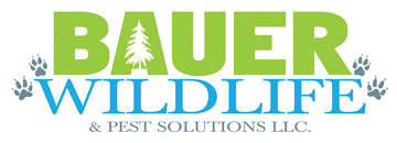 Bauer Wildlife & Pest Solutions LLC