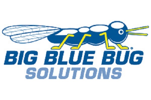 Big Blue Bug Solutions