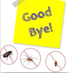 Abriel Pest & Termite Control