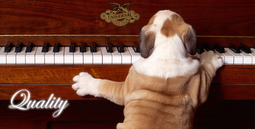 Best Pet Supplies, Inc.