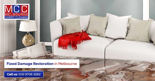 Melbourne Carpet Cleaning Company