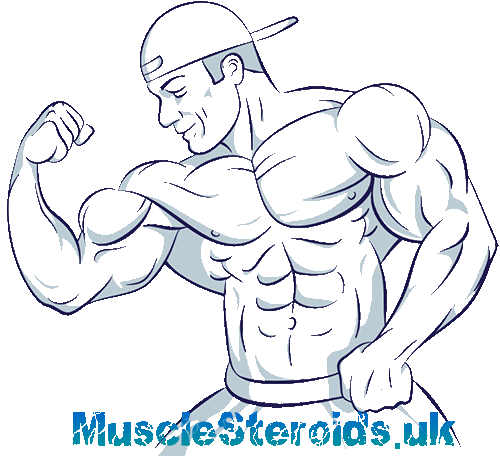 Muscle Steroids
