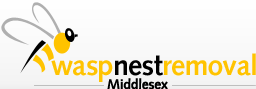 WASP NEST REMOVAL MIDDLESEX