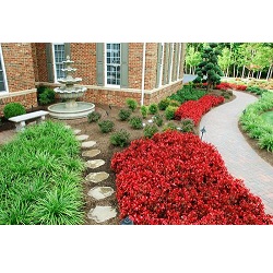 Daigle Property Maintenance