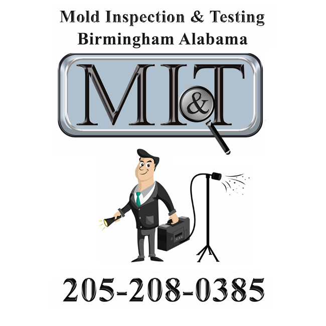 Mold Inspection & Testing Birmingham