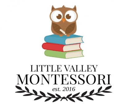 Little Valley Montessori School
