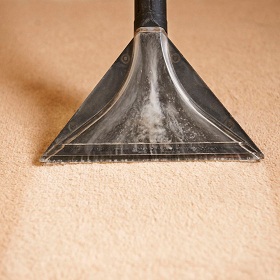 Richardson Carpet Cleaning, Inc.
