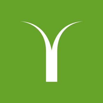 Syntech Landscape Solutions