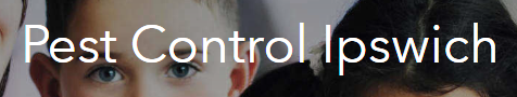 Pest Control Services Ipswich