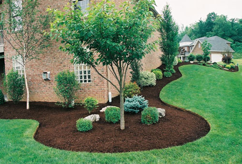 Texas Landscaping Services