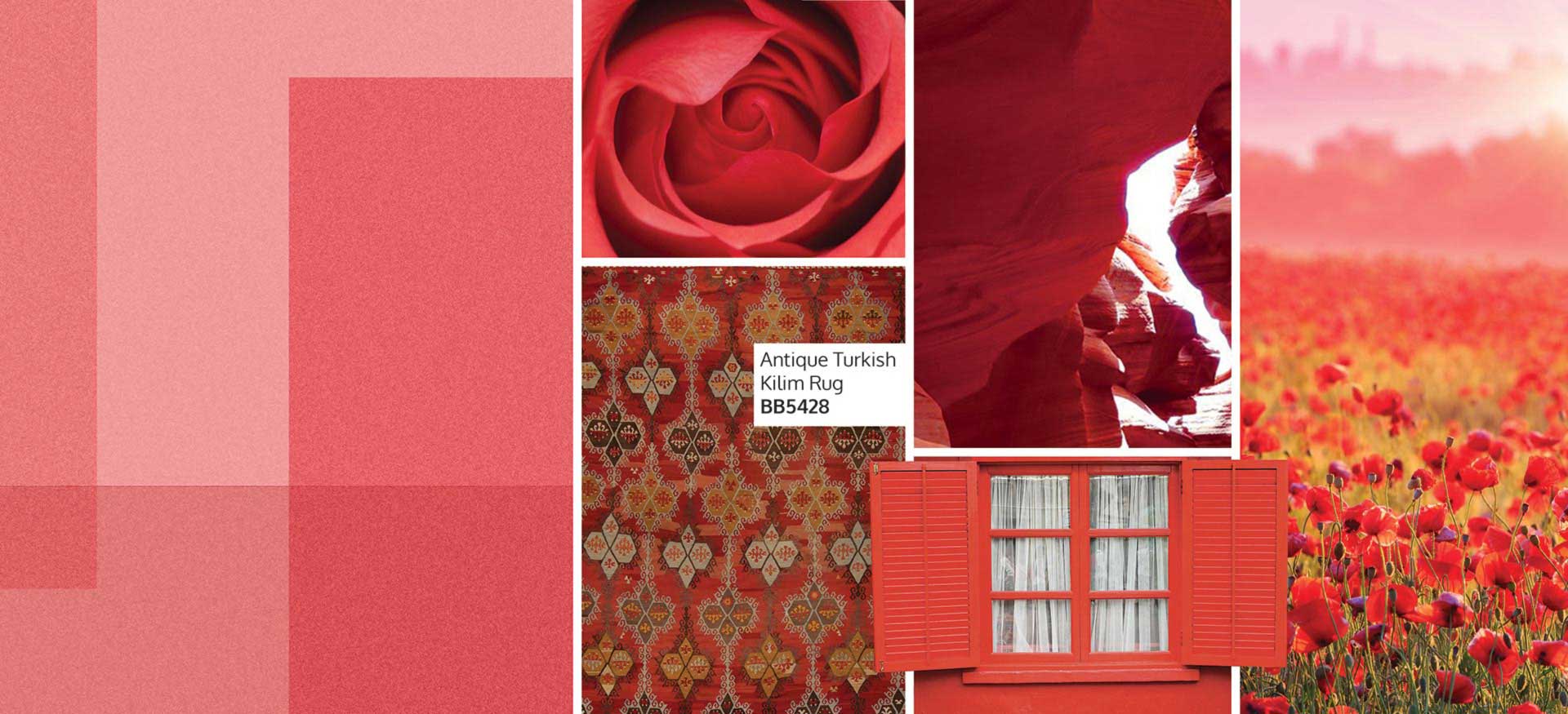 DLB Vintage & Antique Rugs