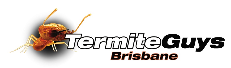 Termite Guys Brisbane