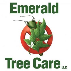 Emerald Tree Care LLC