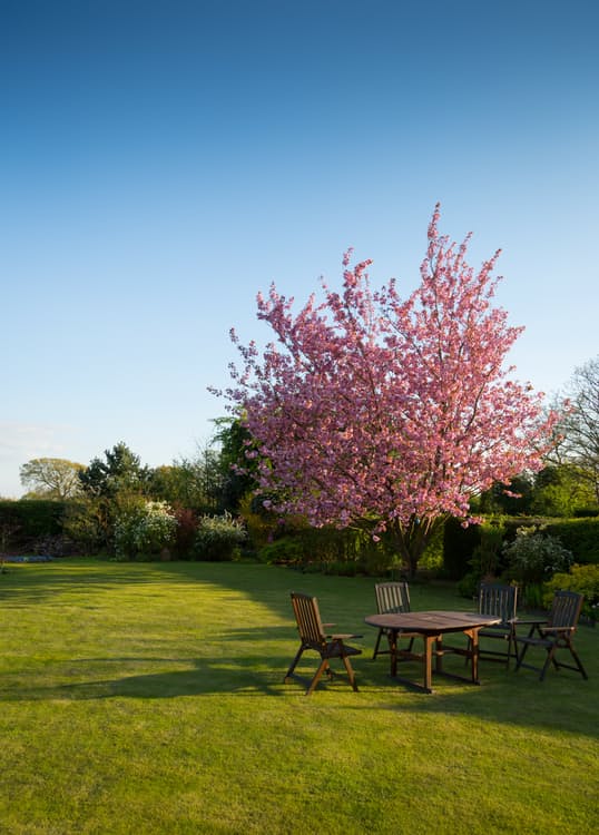 Landscape Gardeners Sutton Surrey