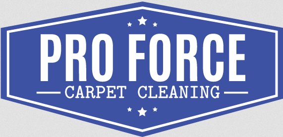 Pro Force Carpet Cleaning