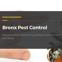 Bronx Pest Control