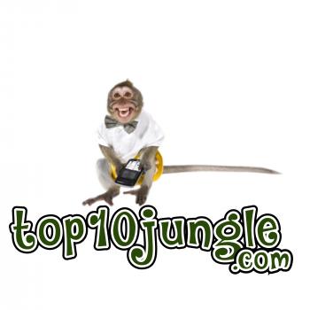 Top 10 Jungle