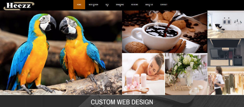 Heezz Part & Member of Option123 Ltd