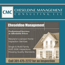 Cheseldine Management Consulting