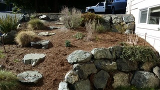 Tom's Lawns and Gardens