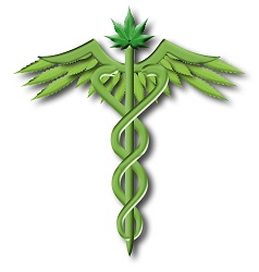 Miami Medical Marijuana Doctors