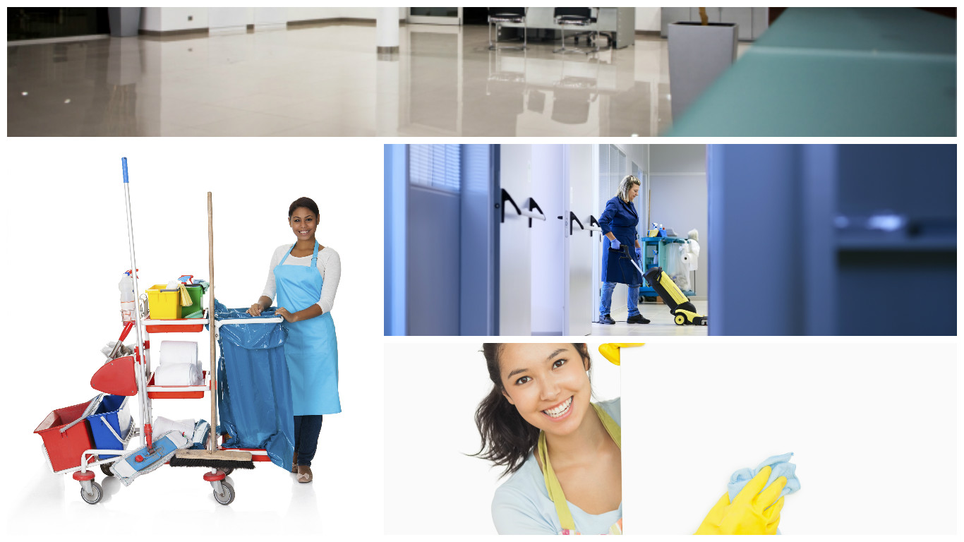 C & M CLEANING LLC