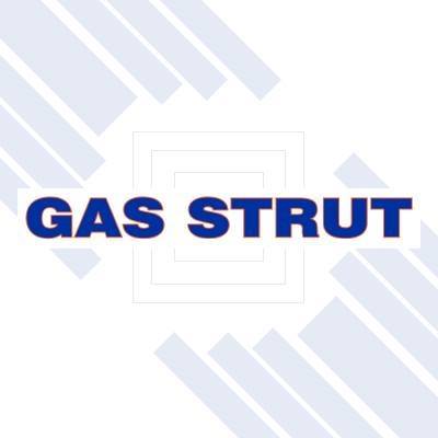 Gas Strut Repairs