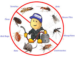 Dante Tapp Pest Control Service