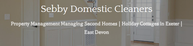 Sebby Domestic Cleaners