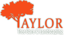 Taylor Tree Care & Landscaping