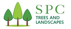 SPC Trees and Landscapes